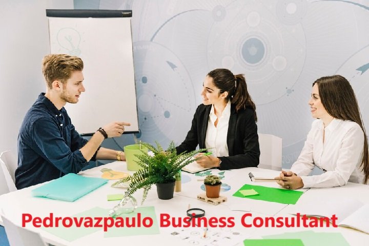 Pedrovazpaulo Business Consultant