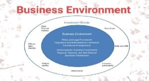 business environment pdf