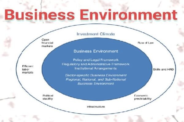 business environment pdf