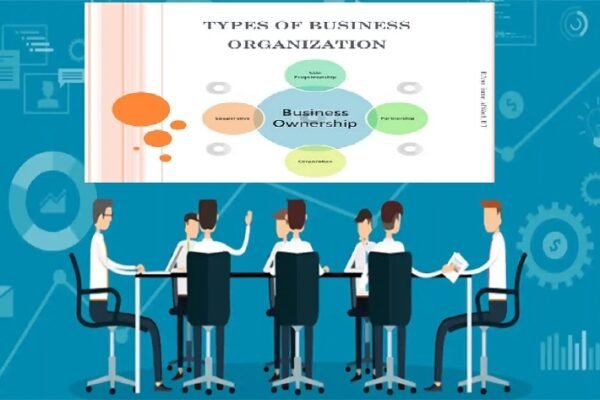 Business Organization