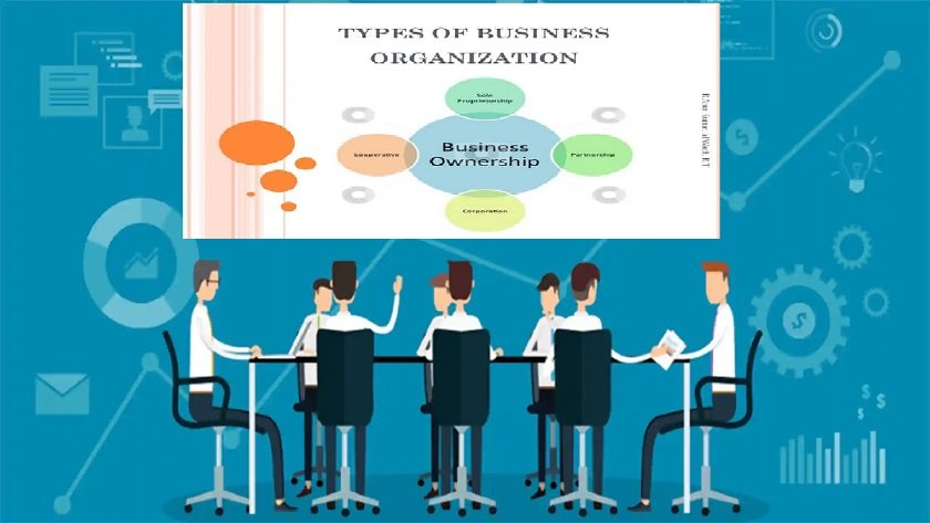 Business Organization