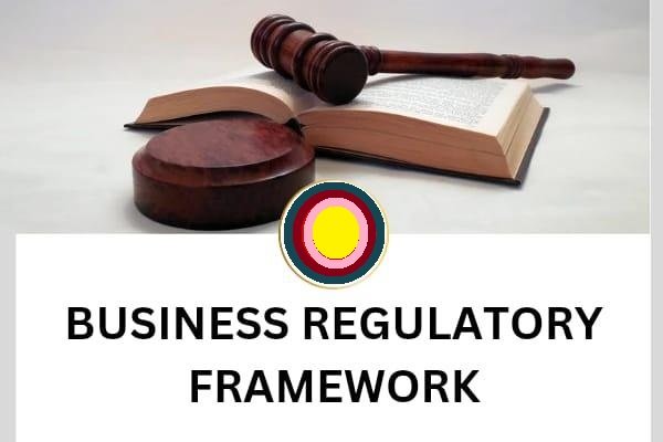 Business Regulatory Framework