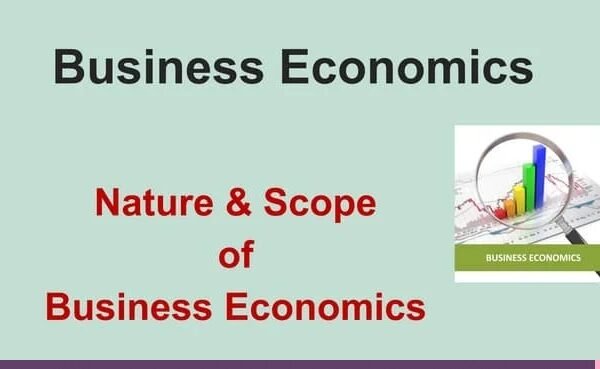 Importance Of Business Economics