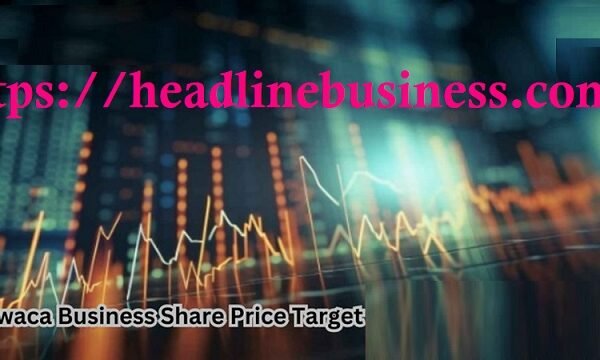 Sawaca Business Share Price Target 2025