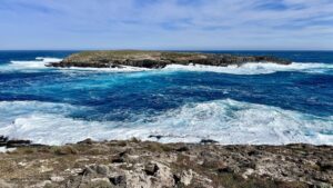 Another setback for beleaguered Cape du Couedic wave buoy