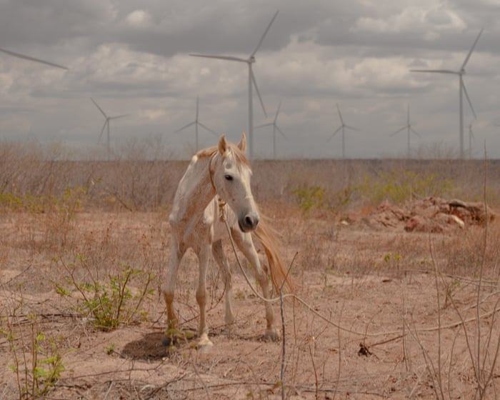 Brazil’s wind farms have been a huge success. So why isn’t everybody reaping the benefits?