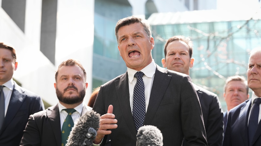 Coalition vows to 'take a chainsaw' to climate laws, offshore wind