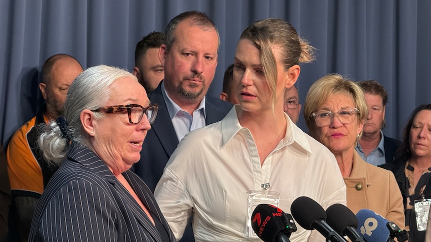 Firearms businesses struggling under Minns government's gun laws