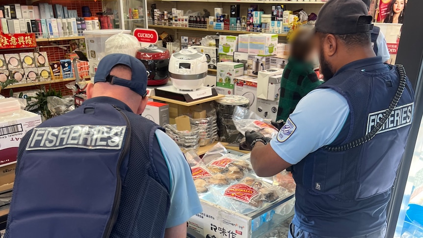 Inside the crackdown on a $23 billion black market