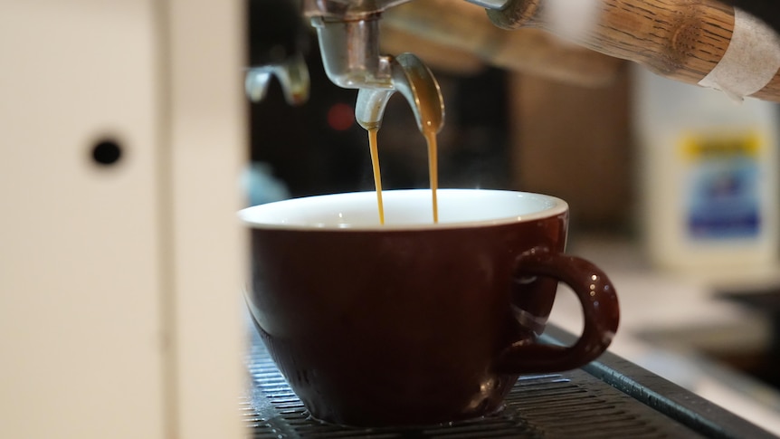 Nation's love affair with coffee on shaky ground as cost of living bites