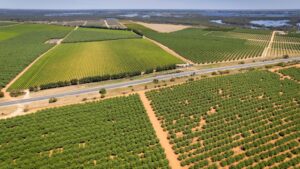 SA government commits $109m to help struggling wine industry