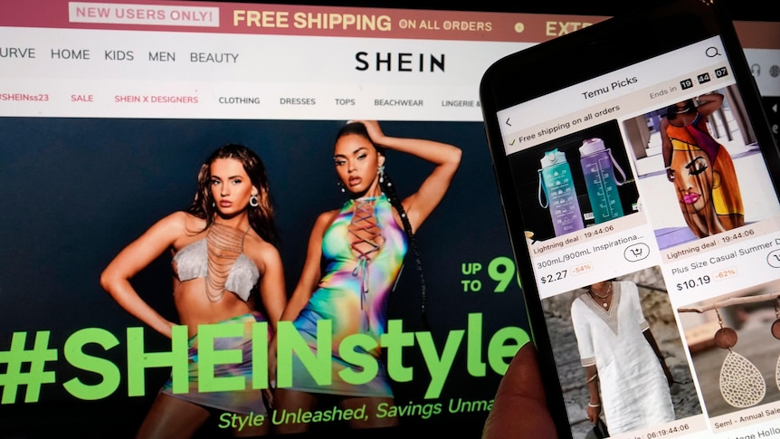 Shein, Temu shoppers do not feel responsible for environmental concerns, study finds
