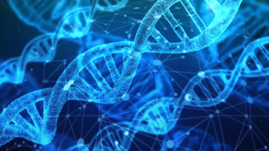 'Something we've never seen before': The risk of AI bioweapons