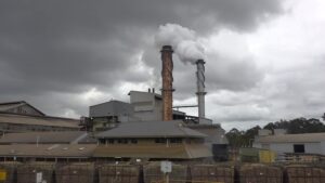 The mill 200 farmers can't afford to lose