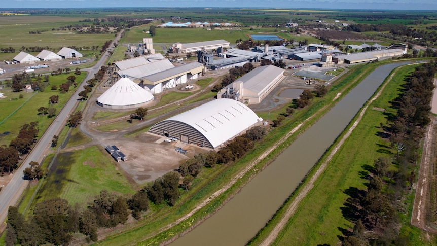 The rice industry is the 'backbone' of this small town, but it's struggling
